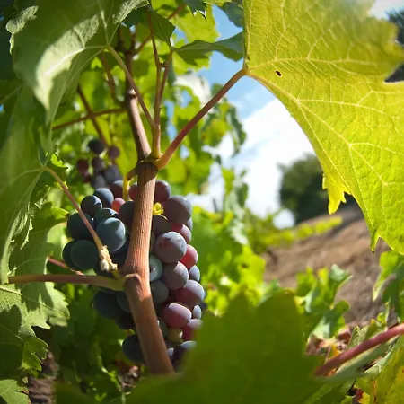 Domaine De La Soucherie - D'hôtes 3*