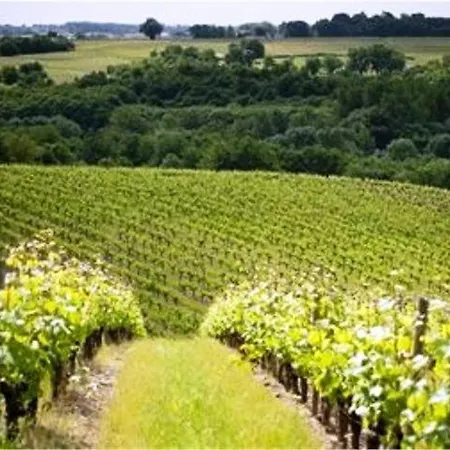 Domaine De La Soucherie - D'hotes 3* Beaulieu-sur-Layon