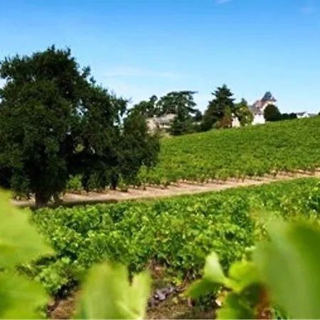 Domaine De La Soucherie - D'hotes Gasthuis