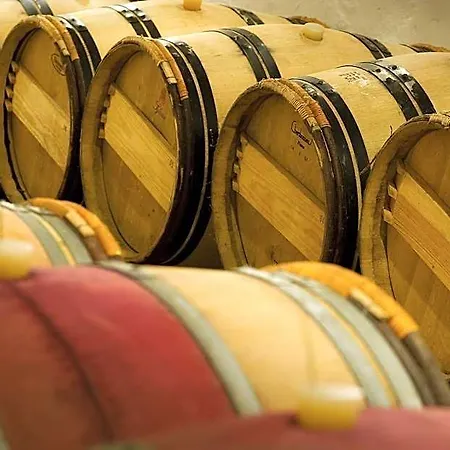 Domaine De La Soucherie - Chambres D'hotes Beaulieu-sur-Layon