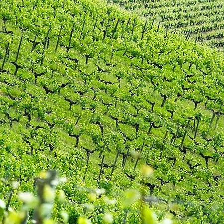 Domaine De La Soucherie - Chambres D'hotes 3*