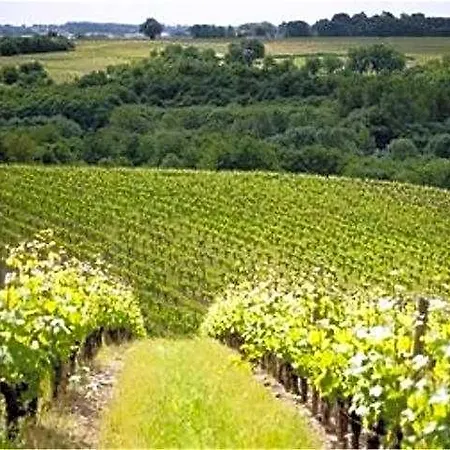 Domaine De La Soucherie - D'hotes 3* Beaulieu-sur-Layon