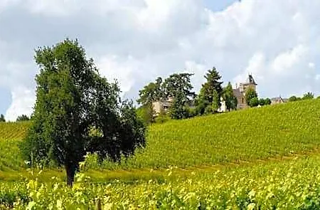 Гостевой дом Domaine De La Soucherie - Chambres D'hotes Beaulieu-sur-Layon