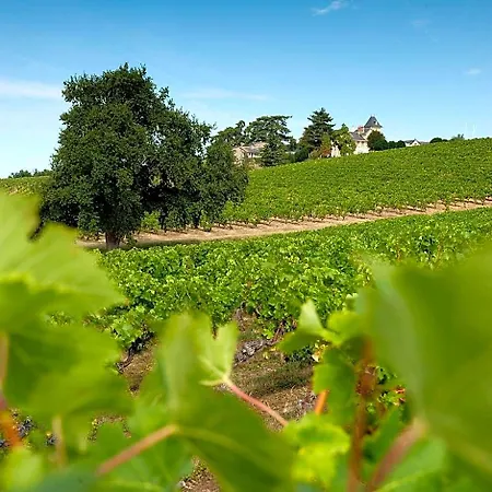 Domaine De La Soucherie - Chambres D'hotes Гостевой дом