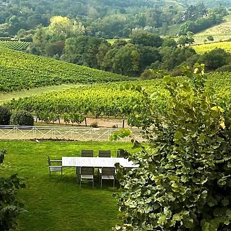 Гостевой дом Domaine De La Soucherie - Chambres D'hotes Beaulieu-sur-Layon