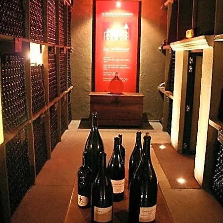 Domaine De La Soucherie - Chambres D'hotes Гостевой дом 3*