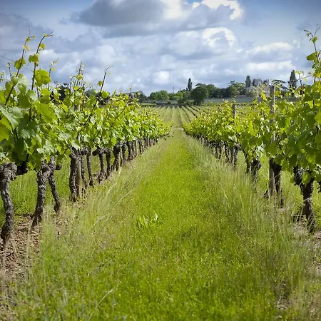Domaine De La Soucherie - D'hôtes