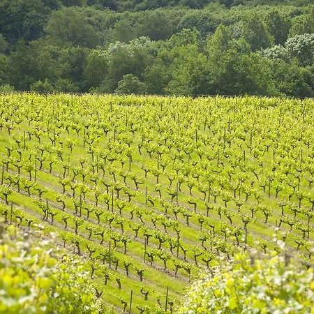 Domaine De La Soucherie - D'hotes 3*
