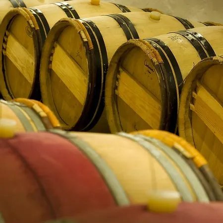 Domaine De La Soucherie - D'hotes Affittacamere Beaulieu-sur-Layon