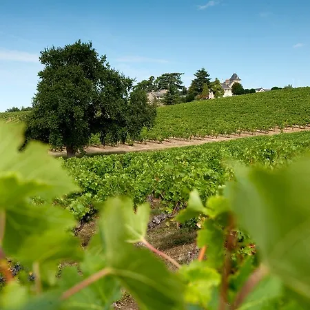 Gasthuis Domaine De La Soucherie - D'hotes 3*