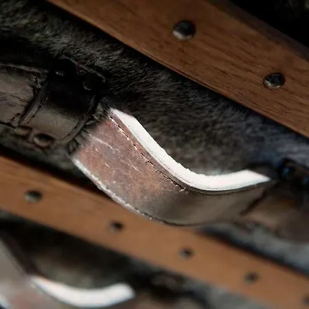 Maison d'hôtes Domaine De La Soucherie - D'hôtes 3*