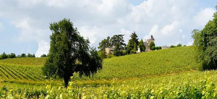 德蒙苏谢瑞住宿加早餐旅馆 招待所 3*