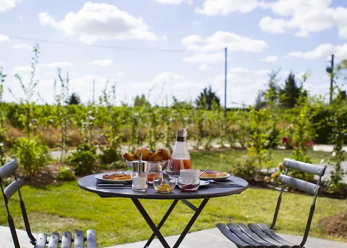 德蒙苏谢瑞住宿加早餐旅馆 3* Beaulieu-sur-Layon