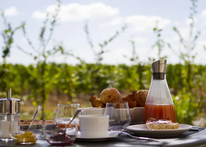 德蒙苏谢瑞住宿加早餐旅馆 3*