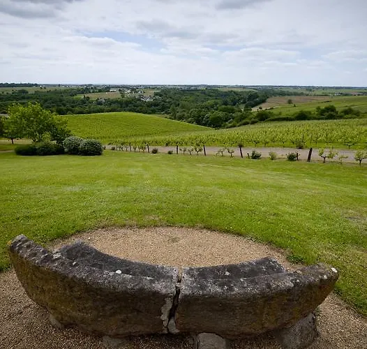 德蒙苏谢瑞住宿加早餐旅馆 3* Beaulieu-sur-Layon