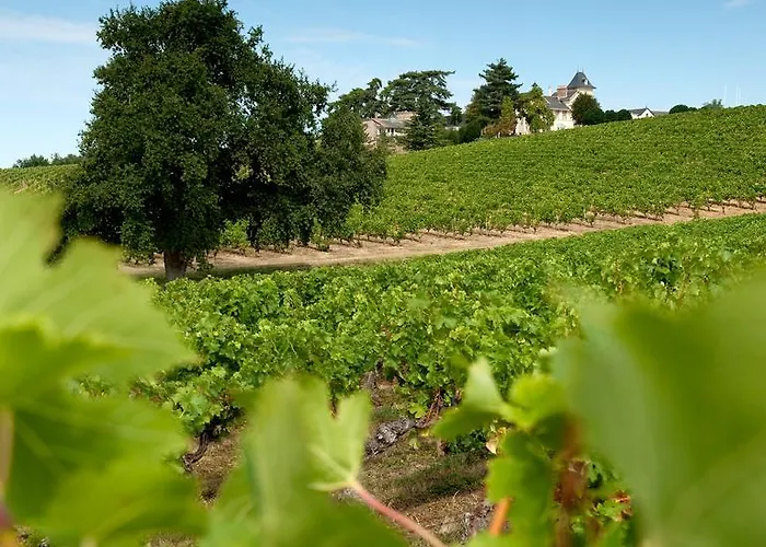 招待所 德蒙苏谢瑞住宿加早餐旅馆 3*