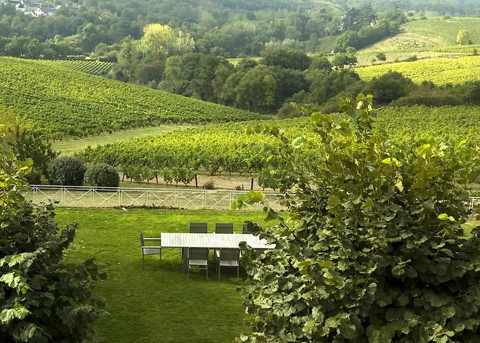 招待所 德蒙苏谢瑞住宿加早餐旅馆