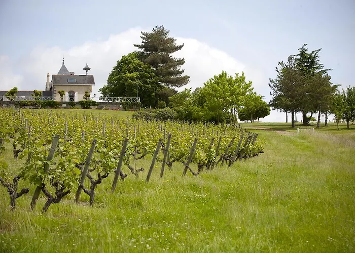 招待所 德蒙苏谢瑞住宿加早餐旅馆