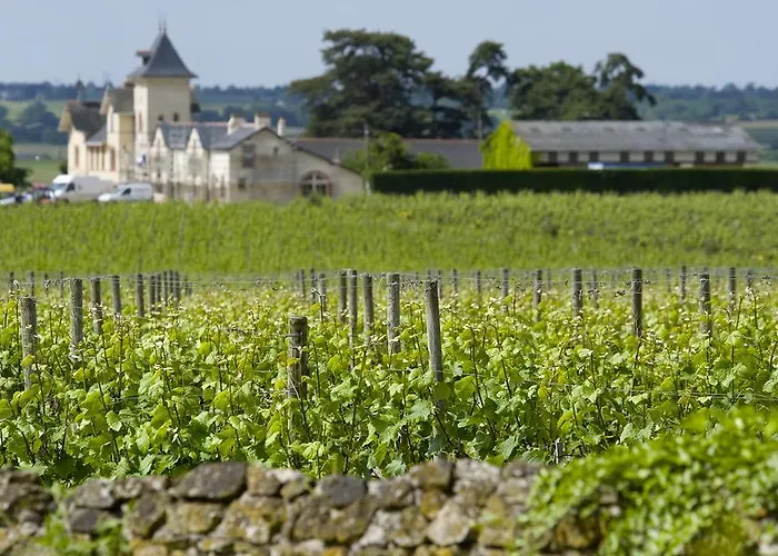 招待所 德蒙苏谢瑞住宿加早餐旅馆