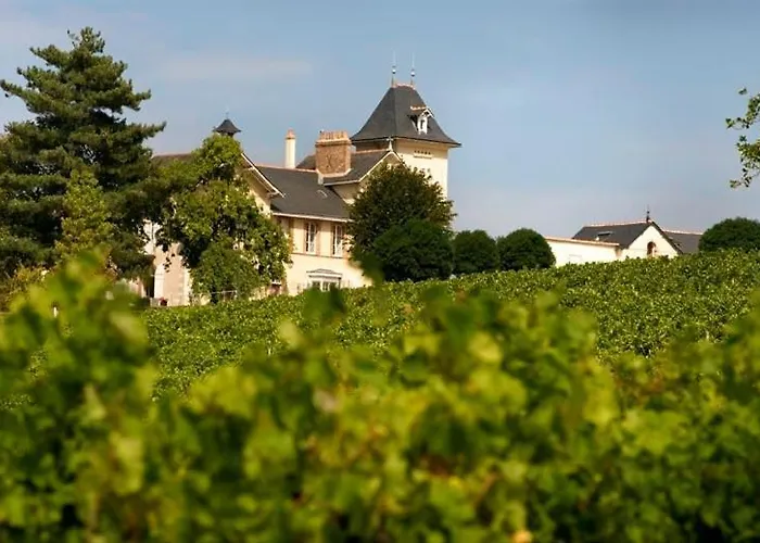 德蒙苏谢瑞住宿加早餐旅馆 招待所 Beaulieu-sur-Layon