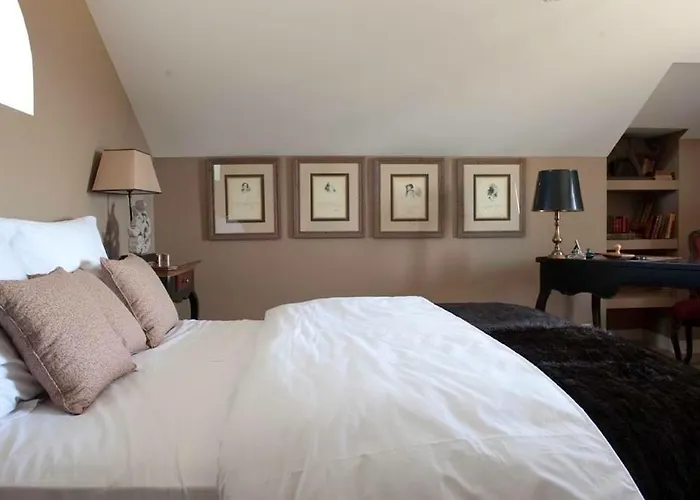 德蒙苏谢瑞住宿加早餐旅馆 招待所 Beaulieu-sur-Layon