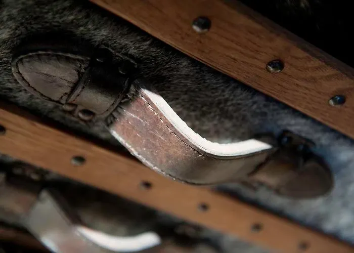 招待所 德蒙苏谢瑞住宿加早餐旅馆 3*