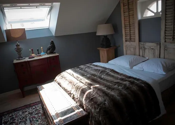 招待所 德蒙苏谢瑞住宿加早餐旅馆