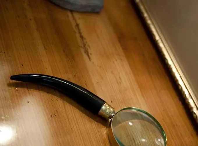 德蒙苏谢瑞住宿加早餐旅馆